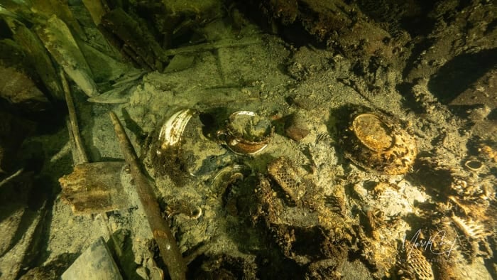 A 19th-century shipwreck is filled with Champagne bottles and Sweden won't allow anyone a sip