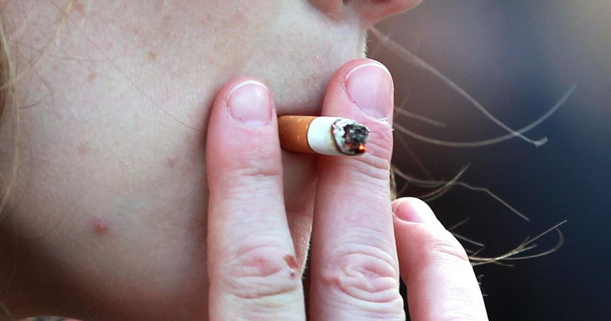 Number of illegal cigarettes in Ireland hits 10 year high as one in five packs smuggled in 