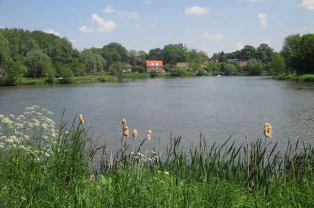 Anderlecht outdoor swimming plans move forward