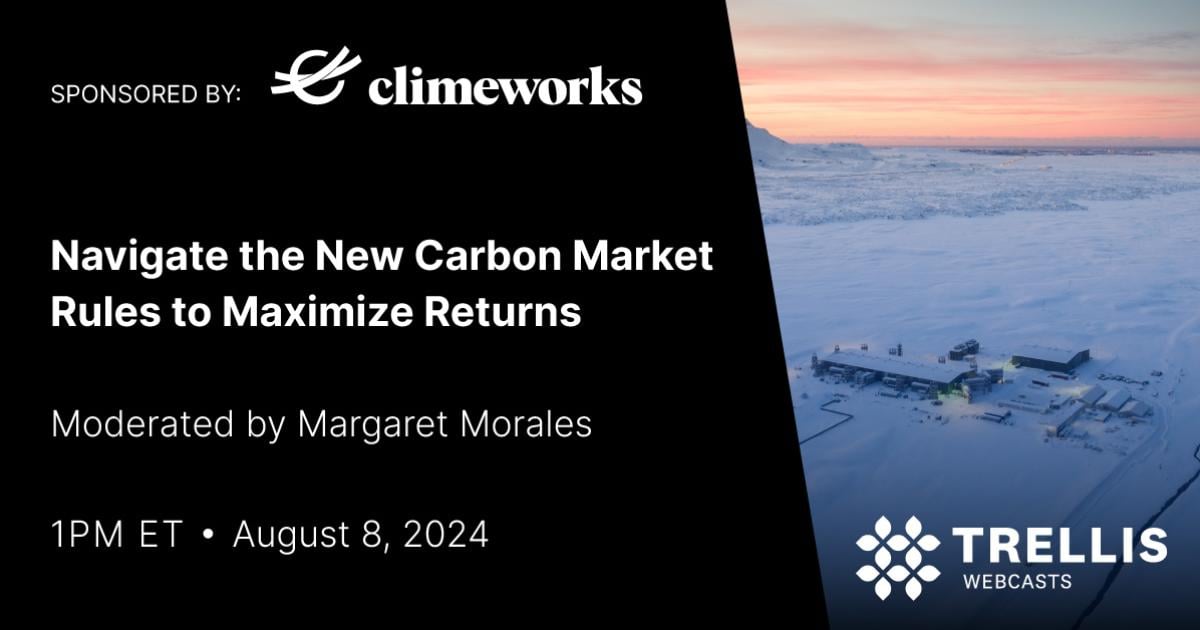 Navigate the New Carbon Market Rules to Maximize Returns