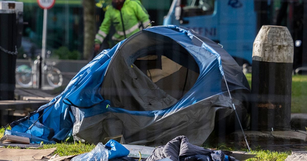 Health watchdog warned of containers full of urine in tents on Grand Canal asylum seeker encampment