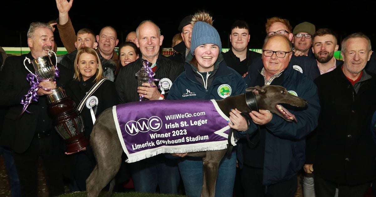 Irish St Leger semi-finals take centre stage on great night of greyhound racing