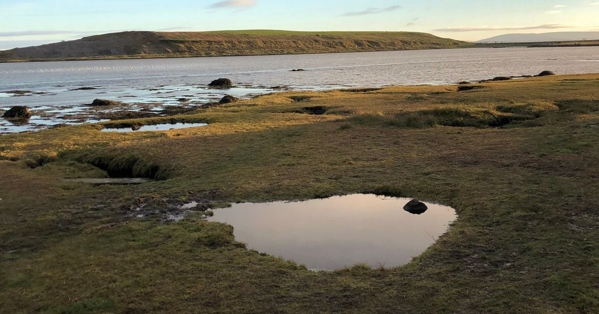 Ireland weather: Temps to hit 25c on Sunday as Met Eireann predict 'humid' weekend