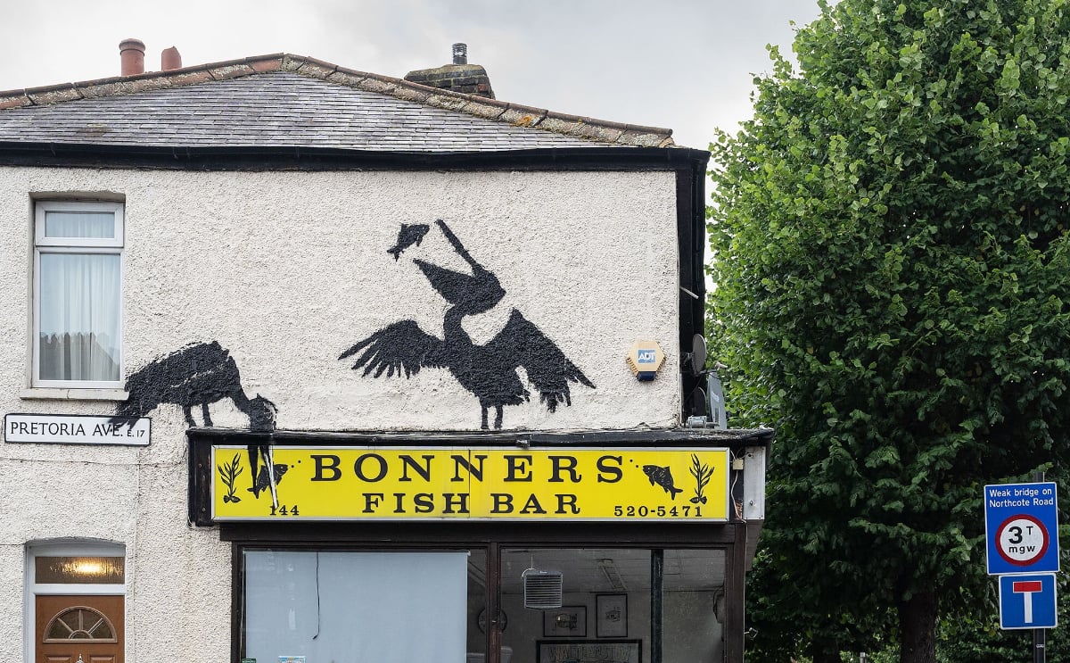 Banksy's fifth animal-themed mural spotted: Pelicans perch in Walthamstow