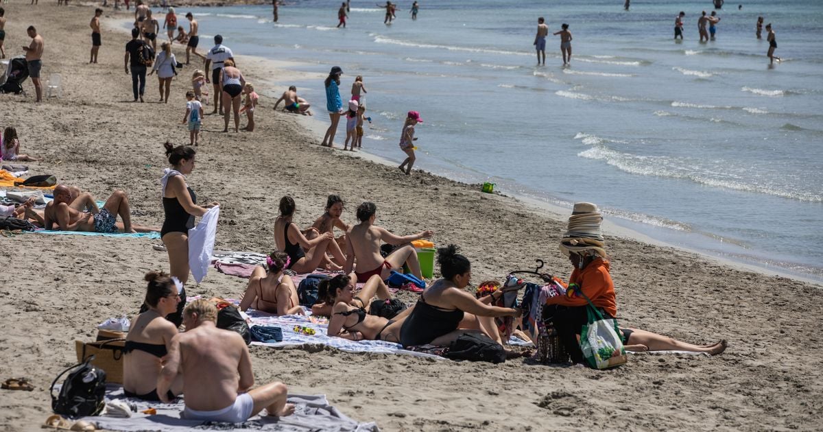 Spain considers 'new law' for tourists as number of Brits visiting continues to rise