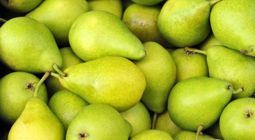 Pears the most cultivated fruit in Netherlands, plum cultivation declining