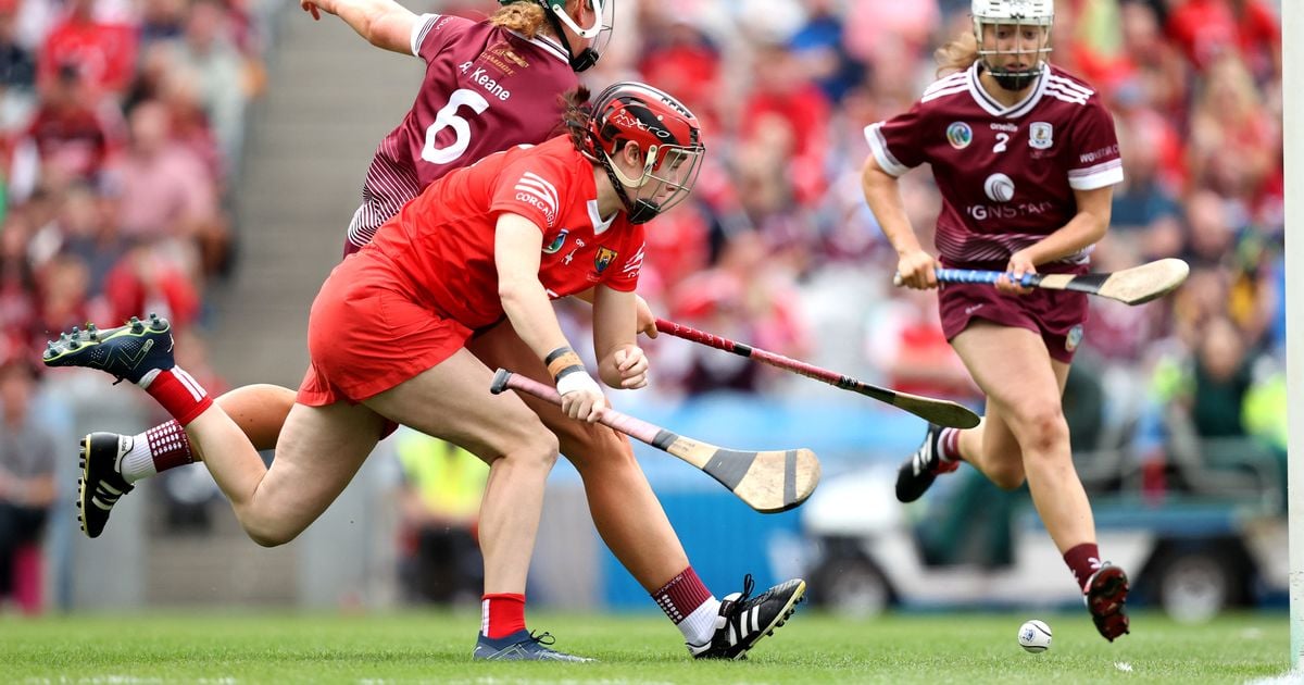 Galway fans left fuming as Cork winning goal appears to be thrown into net