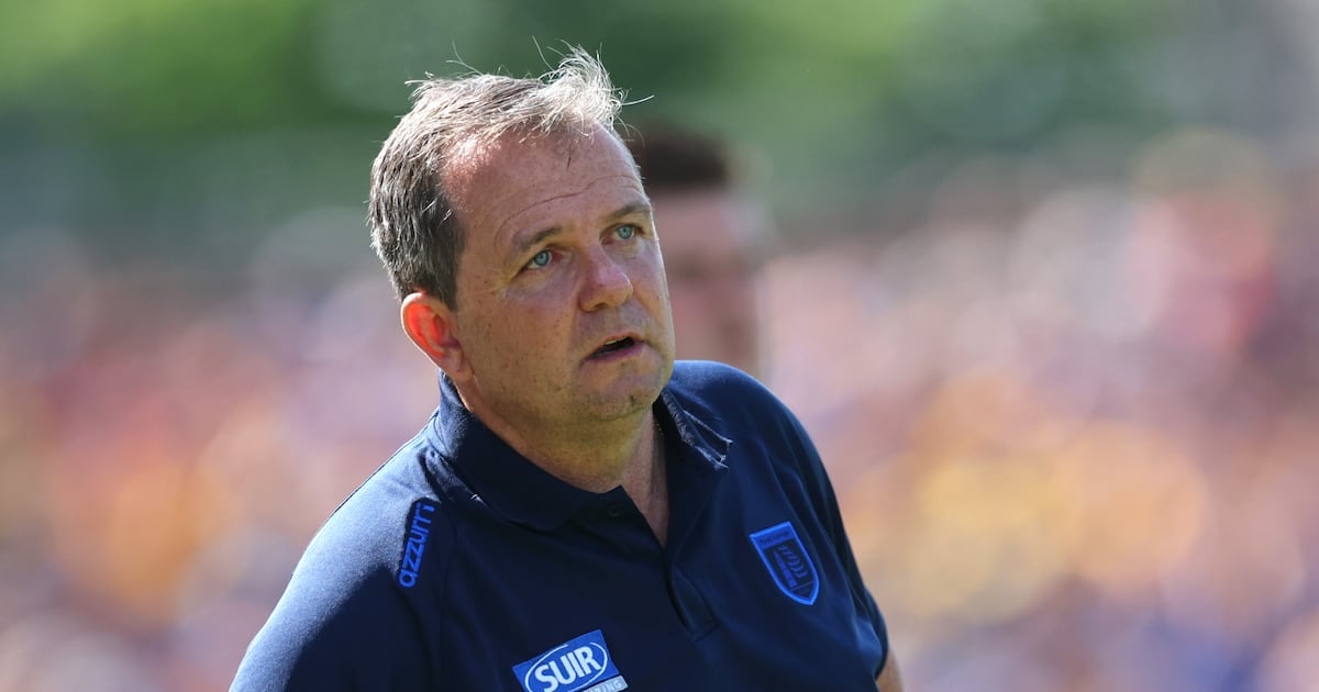 Davy Fitzgerald set to be appointed as Antrim hurling manager