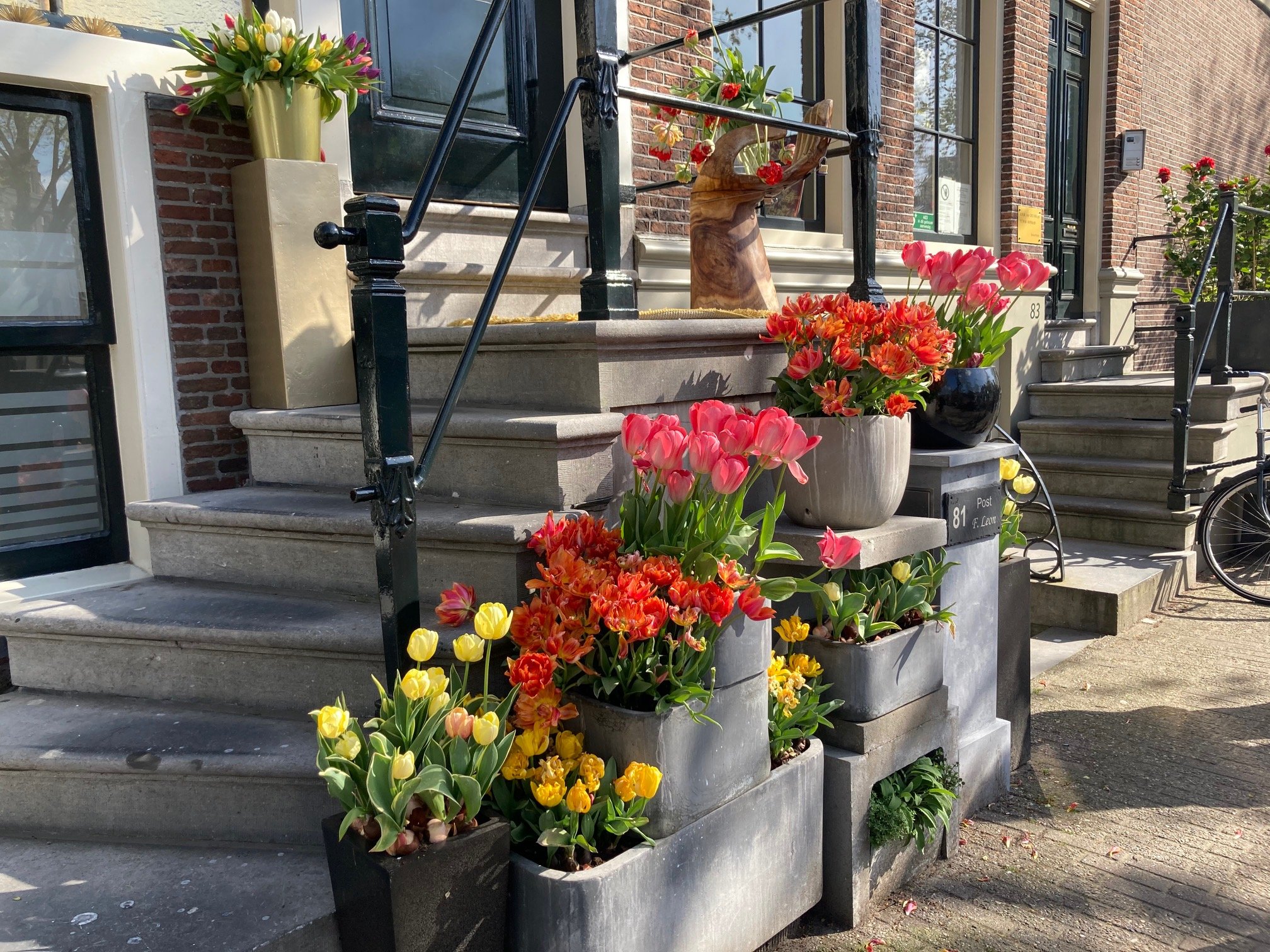 Potty decision: Amsterdam centre cracks down on pavement plants