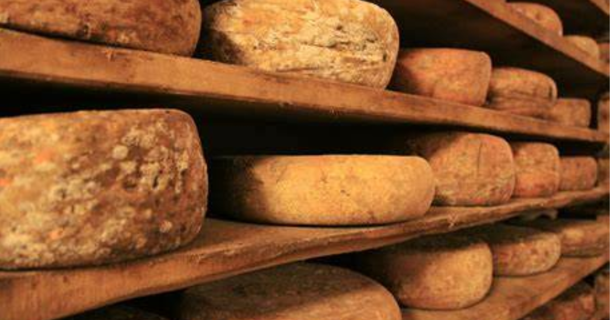 Aged Cheeses May Be Delicious, But You May Want To Avoid These Samples That Are Thousands Of Years Old