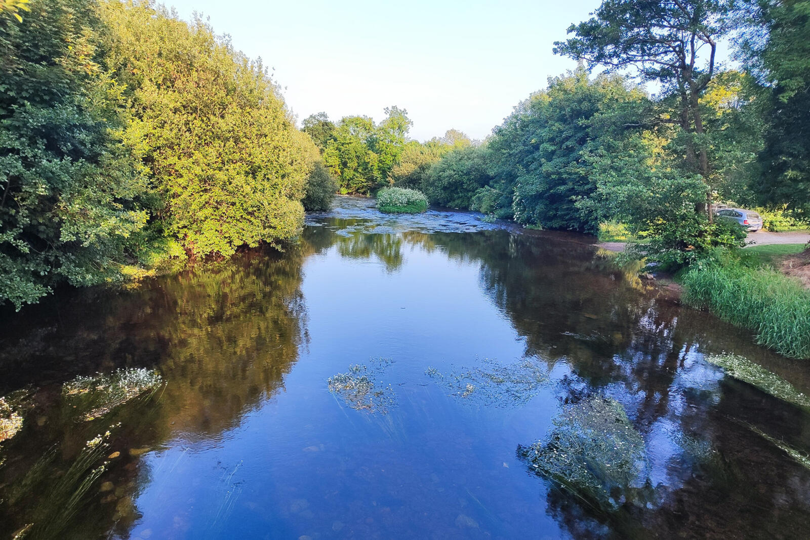 Deteriorating water quality in River Bride