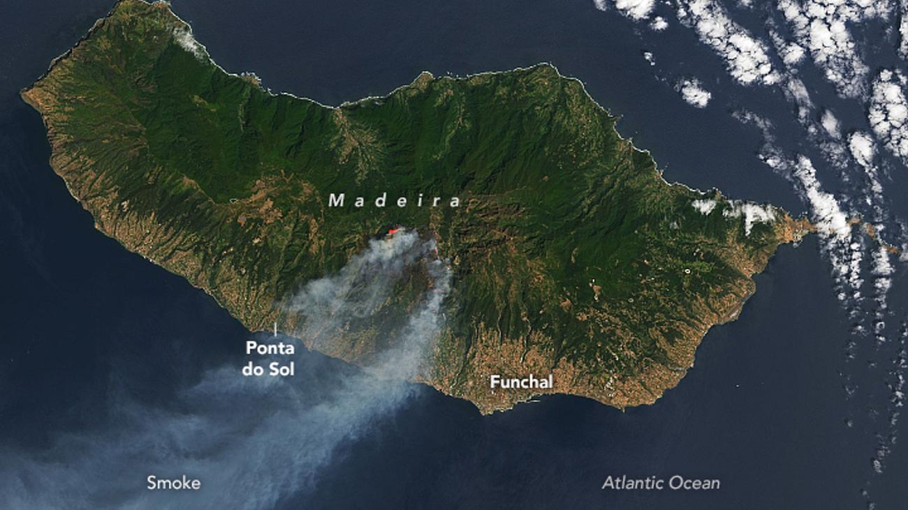 Portugiesische Insel: Waldbrand auf Madeira unter Kontrolle