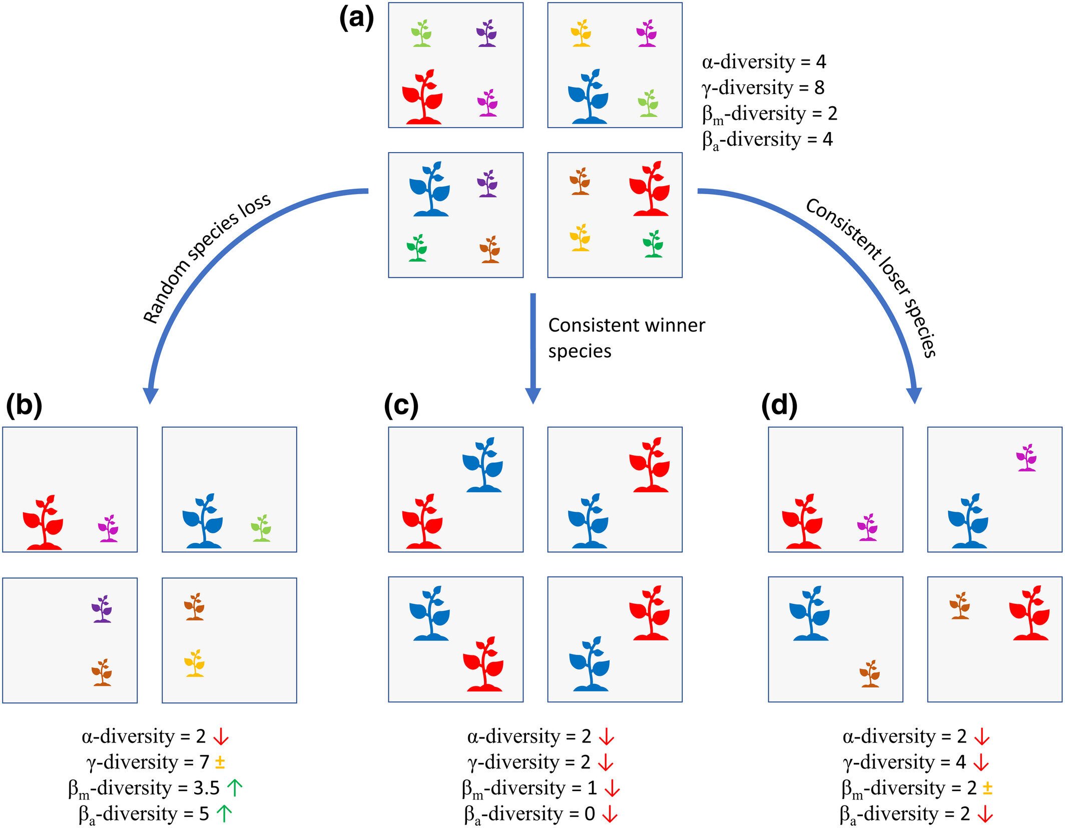 Nitrogen deposition also reduces biodiversity on a larger scale, research shows