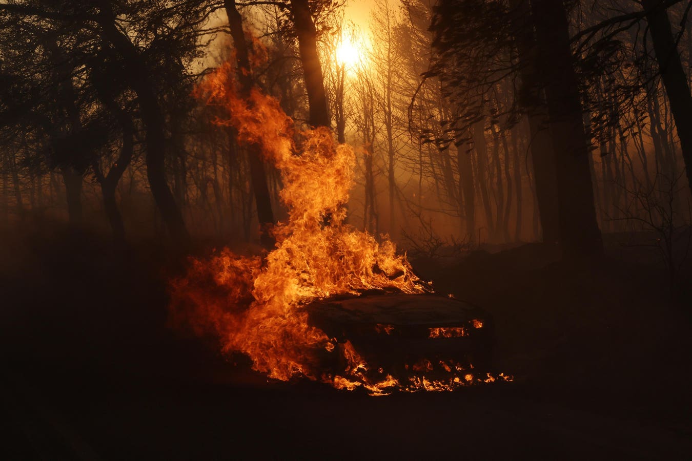 Wildfire Prompts Evacuations Near Athens After Greece Sees Hottest 2 Months On Record