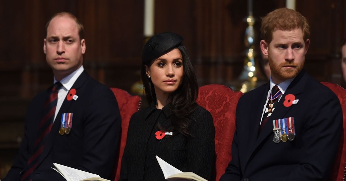 Prince William has 'brutal plan for Prince Harry and Meghan Markle when he is King'