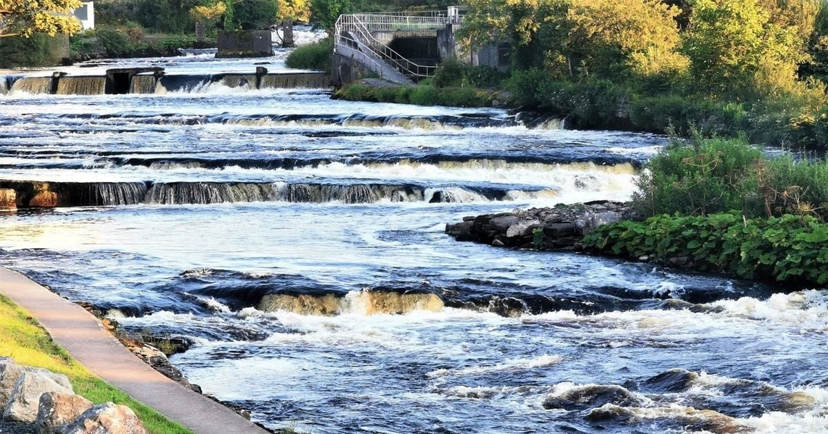 Ireland's plan to improve state of waters branded "missed opportunity to tackle pollution"