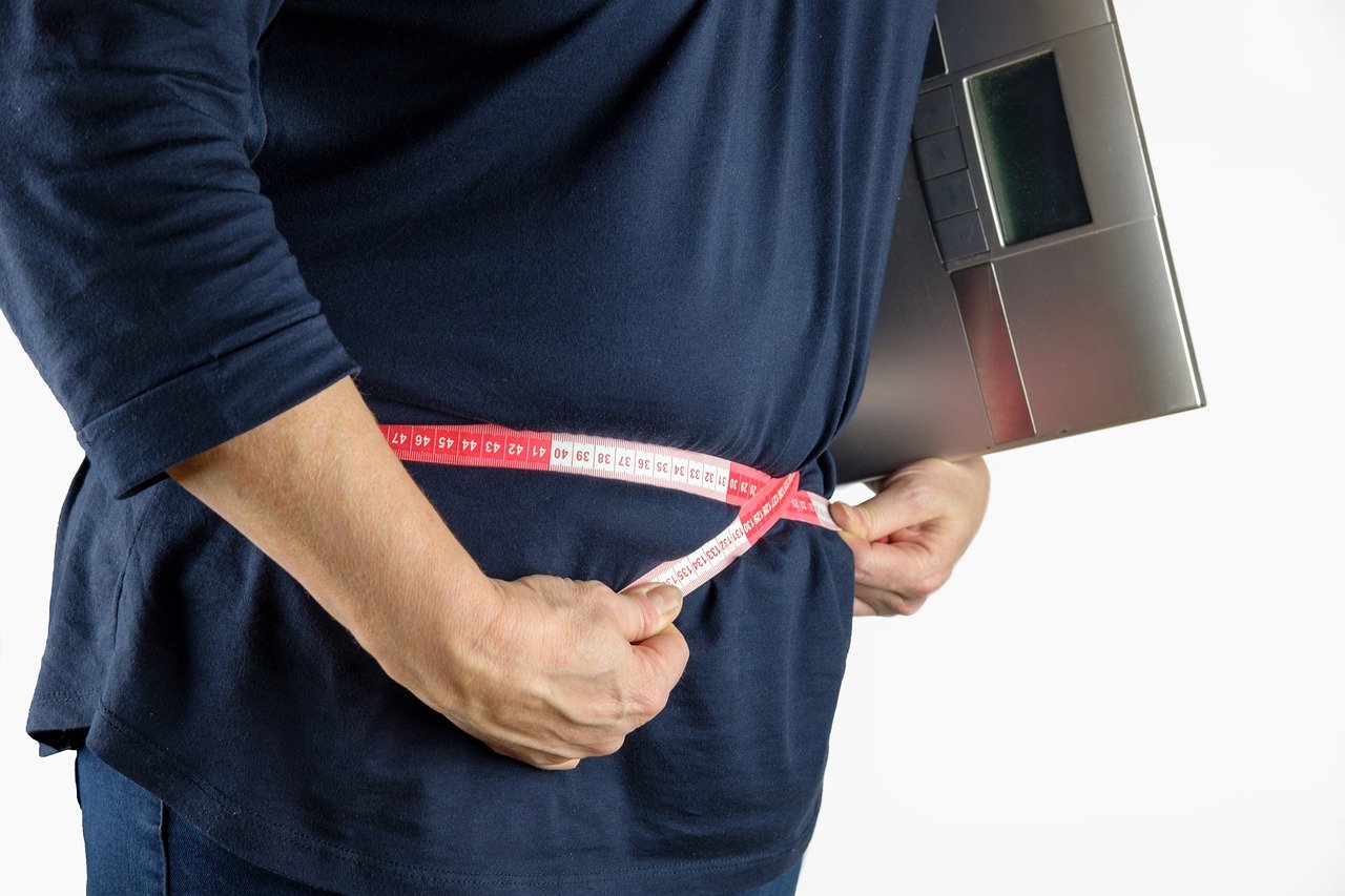 HUN-REN Researchers Investigate the Link between Obesity and Cancer