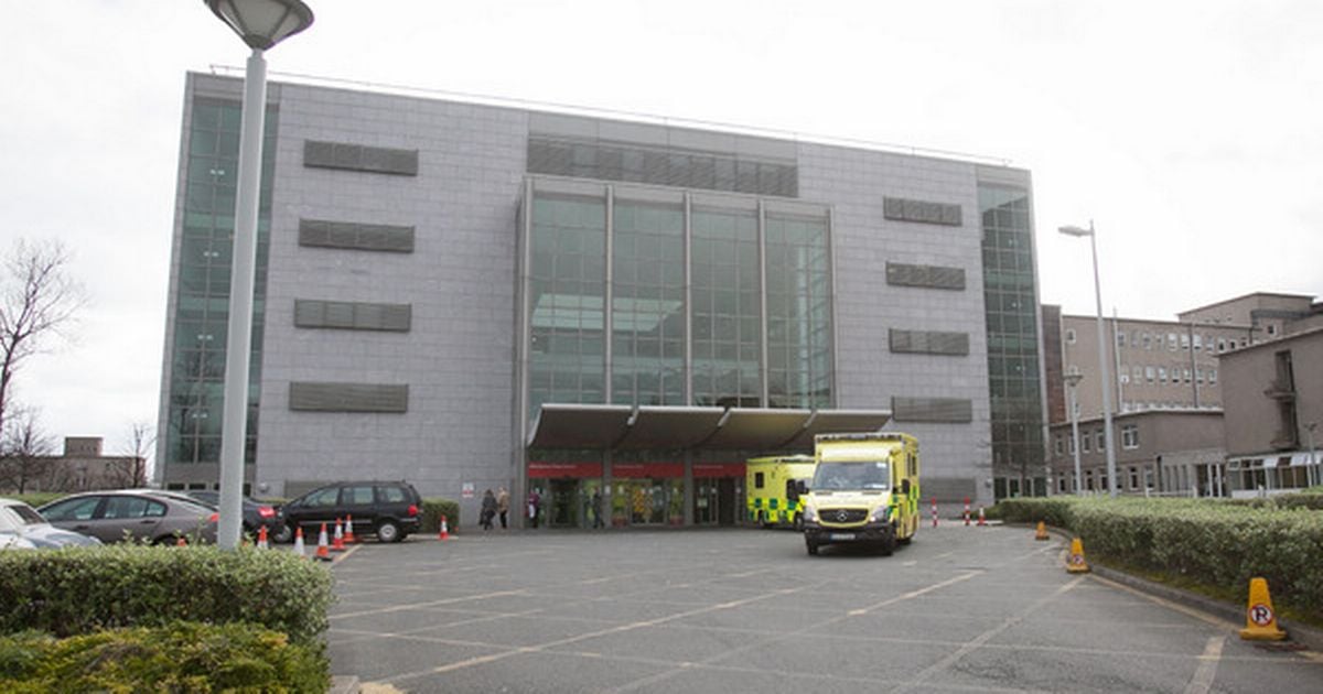 Woman in serious condition after attack by 'number of dogs' in south Dublin