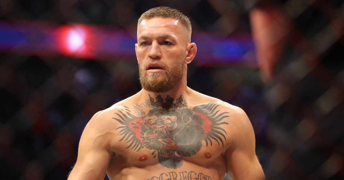 Conor McGregor describes himself as 'only logical choice' to be Ireland's next president