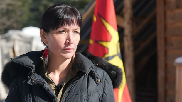 Crown suggests RCMP acted fairly in Wet'suwet'en leader's arrest