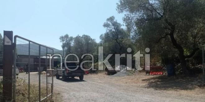 Crete: Murderous attack and torture over grazing