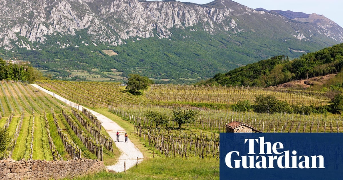 Stars in the east: the shining lights of eastern European wine