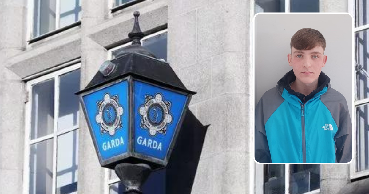 Garda appeal for help tracing missing Leitrim teen who may have travelled to Cork