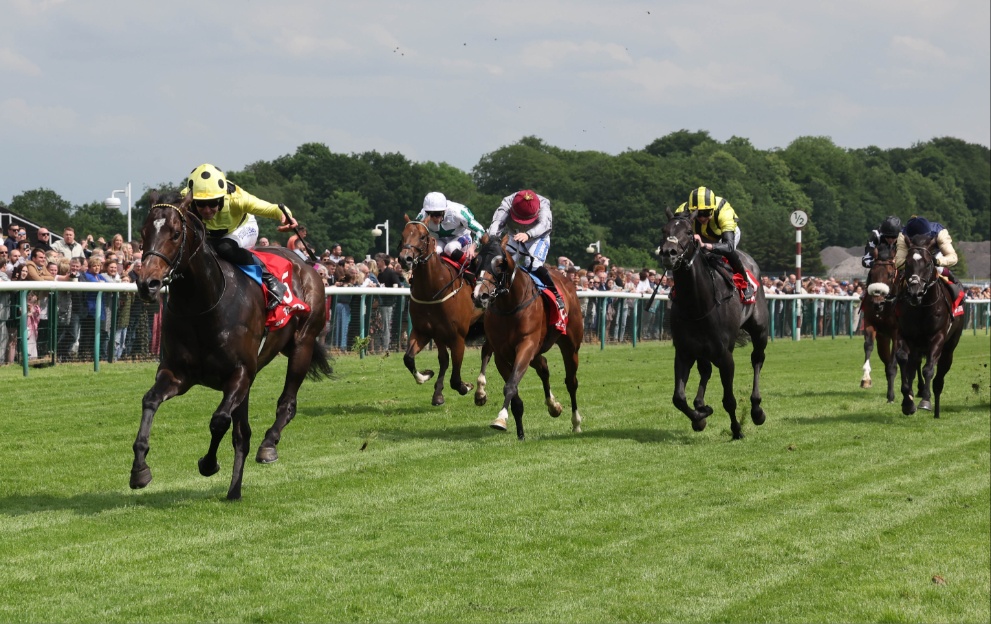 Sprint Cup 2024 trends and stats for Haydock 3.35 on Saturday