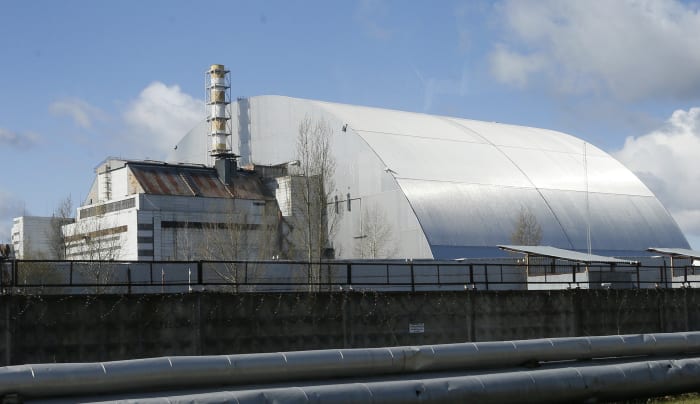 Mushrooms foraged in Sweden could help research Chernobyl radioactive fallout