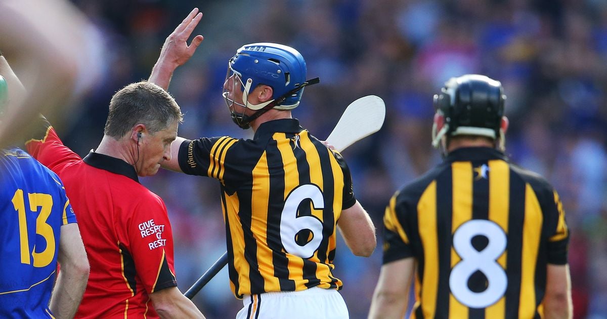 Former Kilkenny star Brian Hogan on famous Hawk-Eye moment with Tipperary a decade on