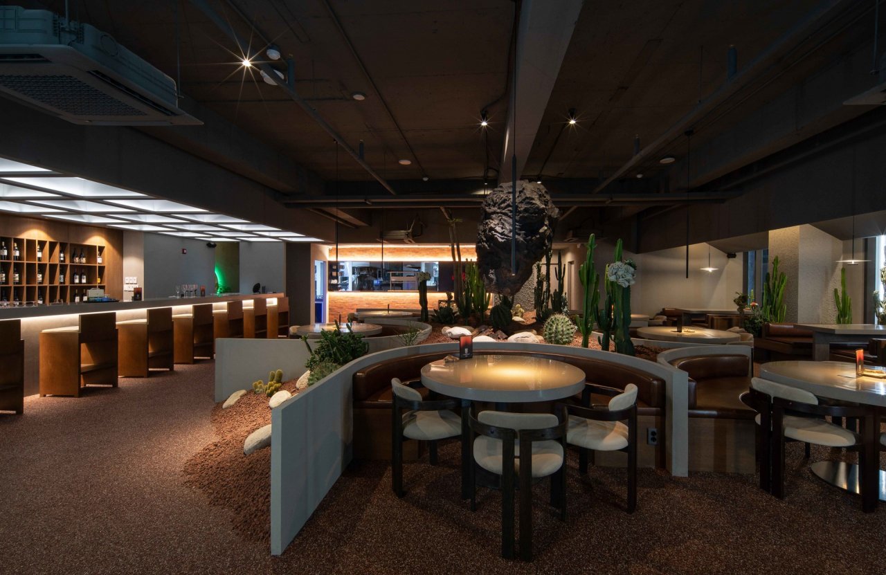 Designed with cacti, floating stone, dining bar Vuur gives creative kick to local ingredients