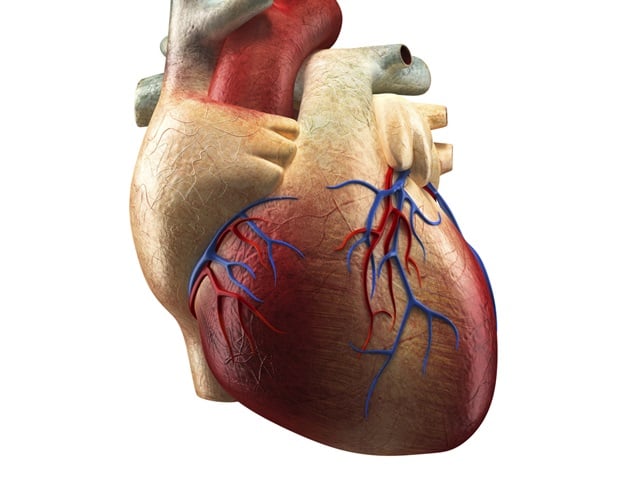 Genetic variants linked to heart rhythm disturbances in Wolff-Parkinson-White Syndrome