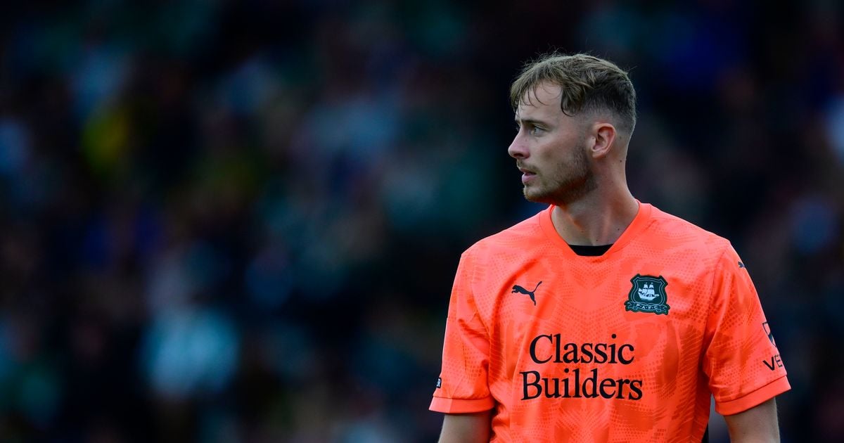 Plymouth Argyle goalkeeper Conor Hazard gets Northern Ireland call-up