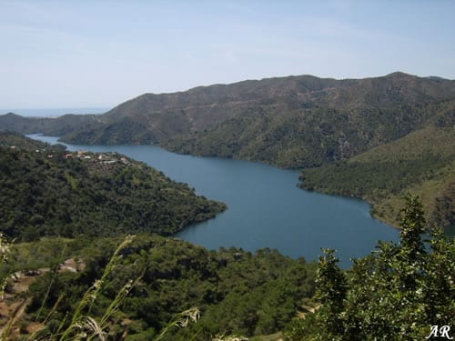 Malaga reservoirs benefit from much-needed rainfall, latest recordings show