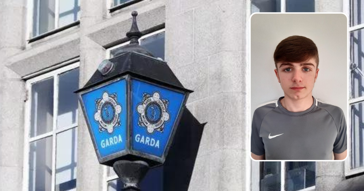 Gardai renew appeal for help tracing Dublin teen missing for more than two weeks