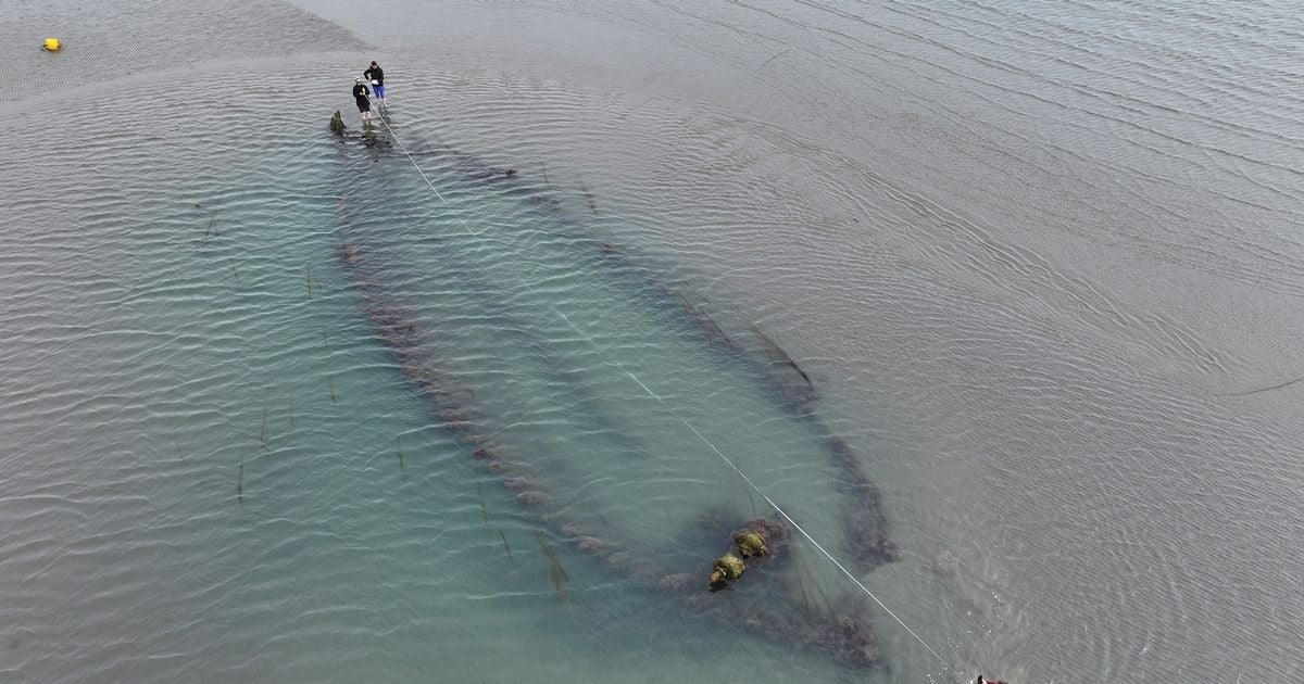 Three new eerie shipwrecks discovered off the coast of Dublin due to shifting sands