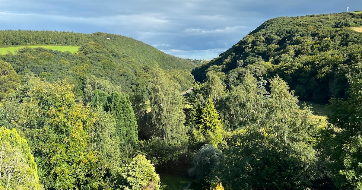 State urged to intervene in sale of woodland beside Glen Of the Downs in Wicklow