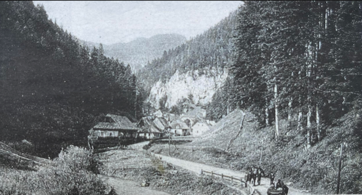 The forest history of Slovakia