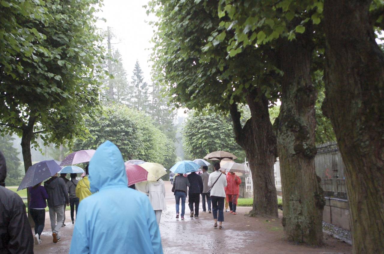 It does rain more in some Dutch cities, research shows