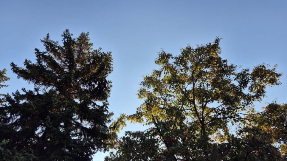 Week ends with autumn-like clouds and rain