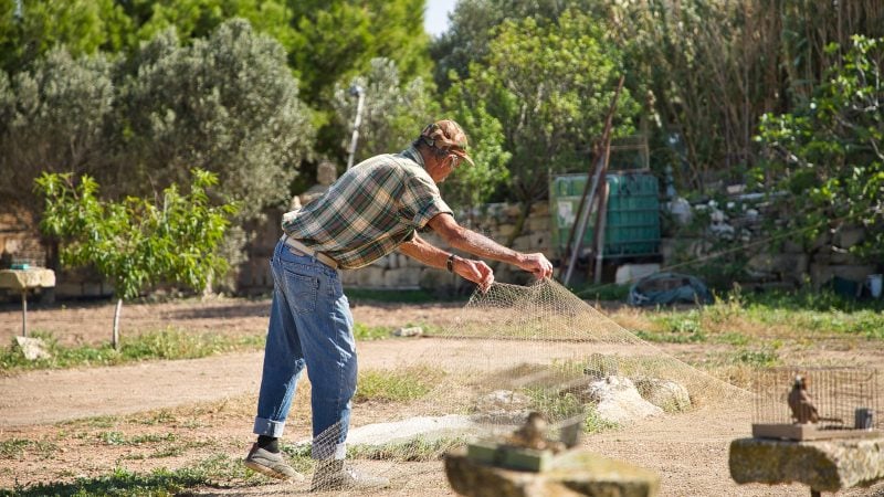 Bird research in Malta has reached the EU courts [Promoted content]