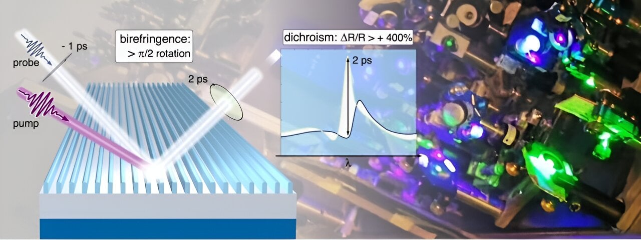 Study: Giant ultrafast dichroism and birefringence with active nonlocal metasurfaces