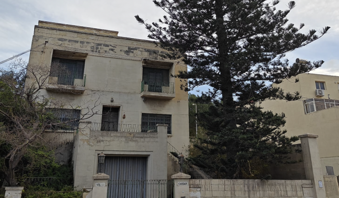  Monumental tree in Valley Road faces the chop 