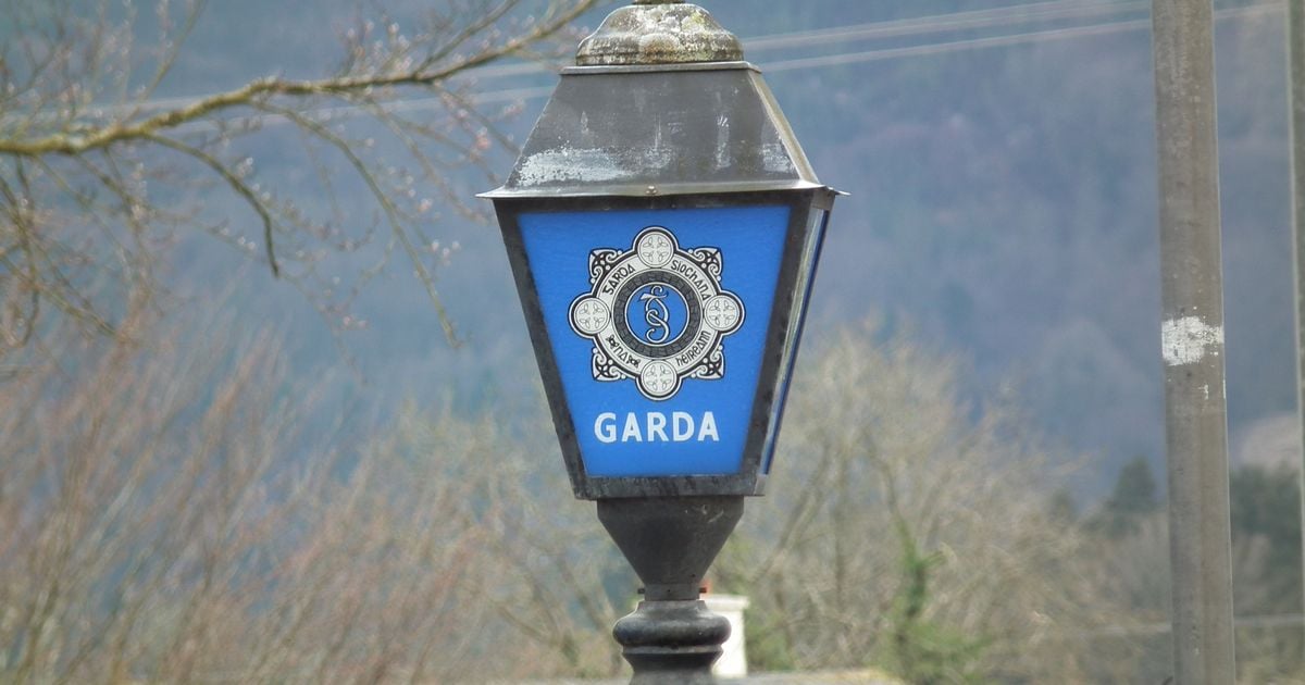 Body found at recycling plant in Dublin as Gardai seal off the scene - Live updates