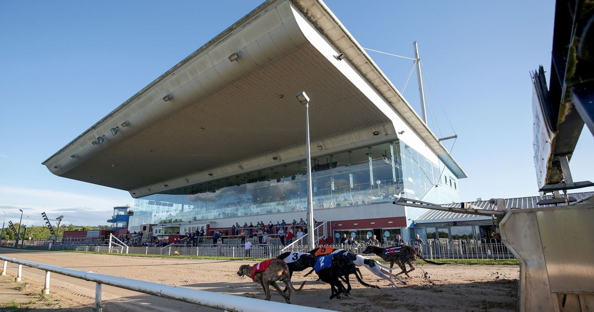 All eyes on Curraheen Park as Bar One Racing Irish Laurels semi-finals take place