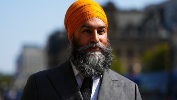 Environment, energy ministers offer Jagmeet Singh a briefing on carbon pricing