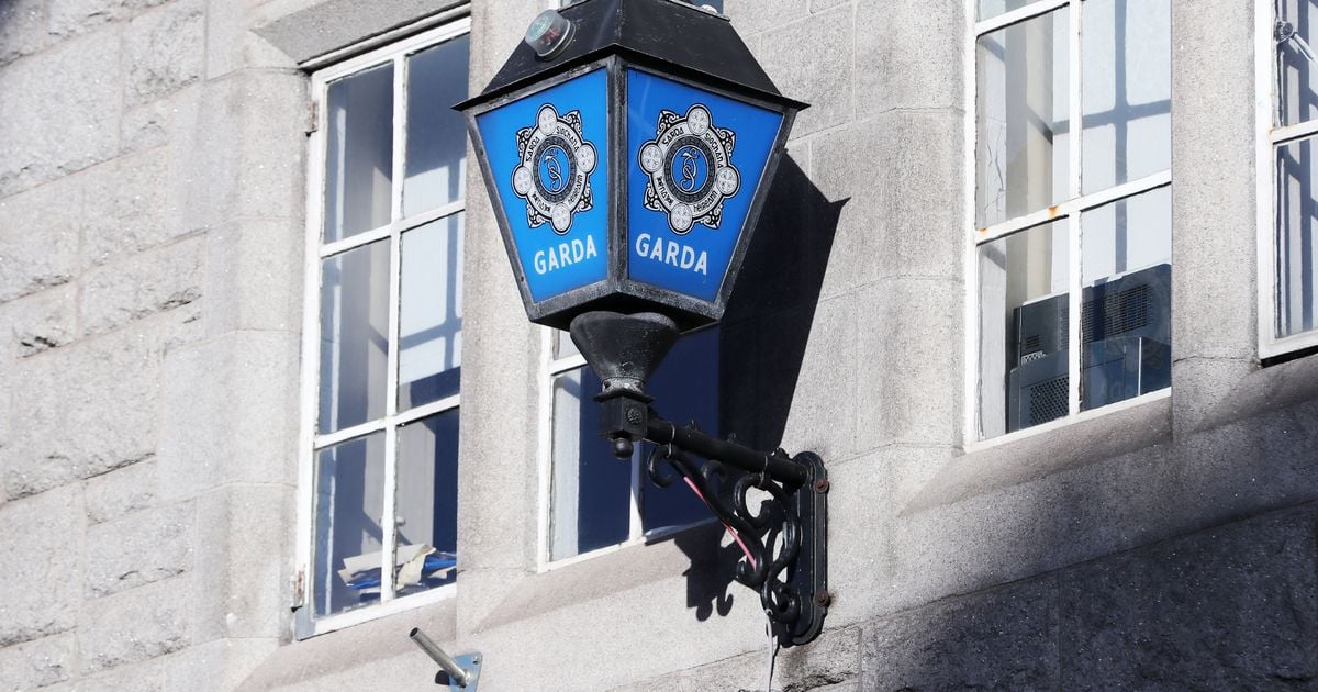 Gardai launch desperate search for child amid fears their death has been covered up