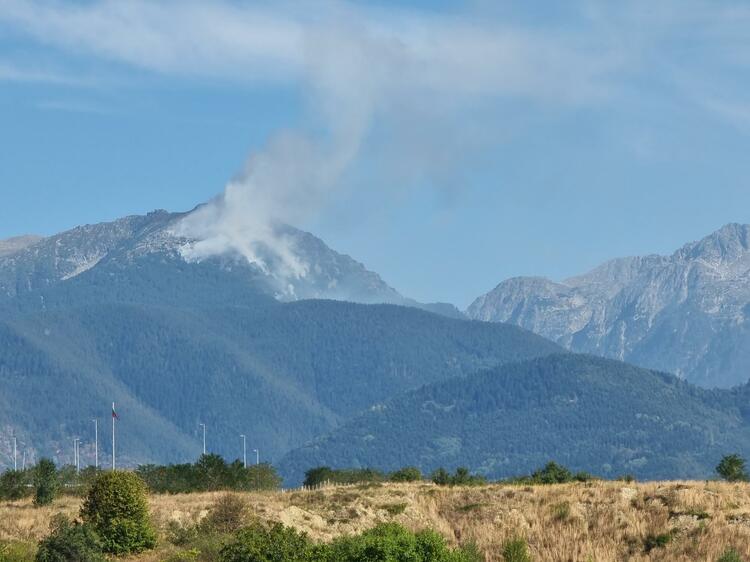 Eight Fires Registered in Bulgarian National Parks in 2024 Affecting Total Area of Some 371 Hectares