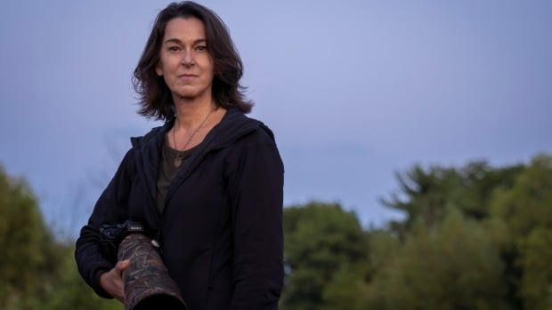 Toronto woman wins bird photographer of the year for photo of 4,000 dead birds