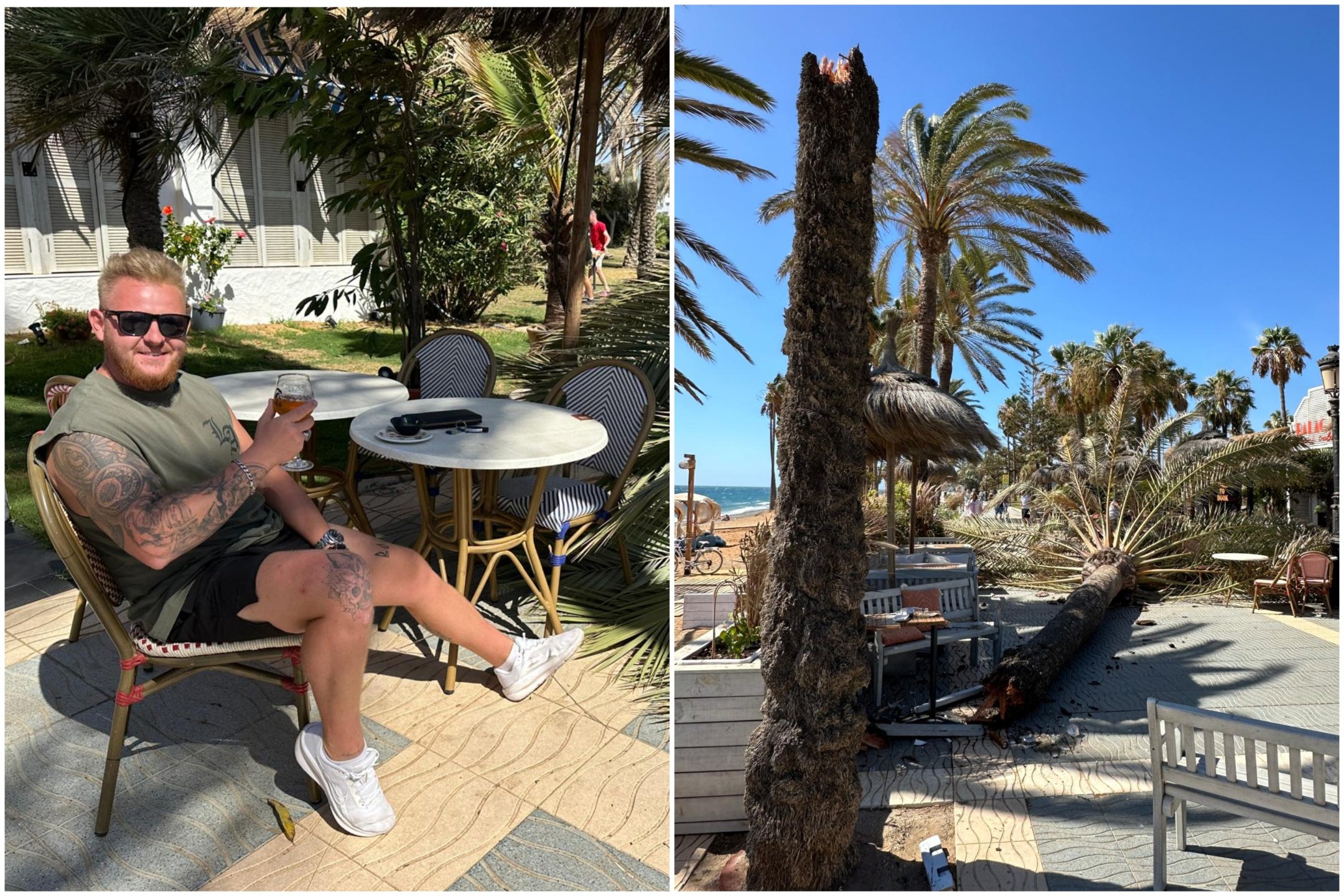 Watch: Hilarious moment relieved expat sips his beer in Marbella after almost being crushed by a falling palm tree amid severely strong winds